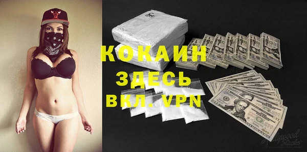 тгк Абаза