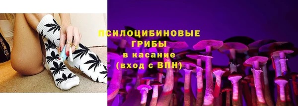тгк Абаза