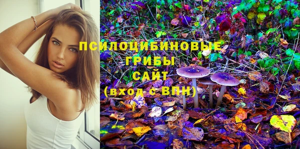СК Абдулино